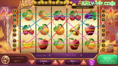 234tiger Master Casino App Screenshot 3 - 5