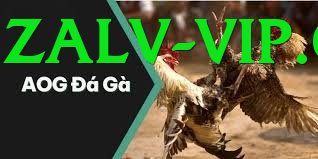 Trường Đấu Đá Gà Chuyên Nghiệp - Game xây dựng